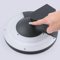 Modern Design Waterproof Garden Lamp Outdoor Solar Wall Light (PRSL-W1008)