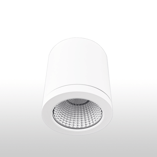 20W Modern Surface Mount Downlight Tri Colour Dimmable  Ceiling Lamp