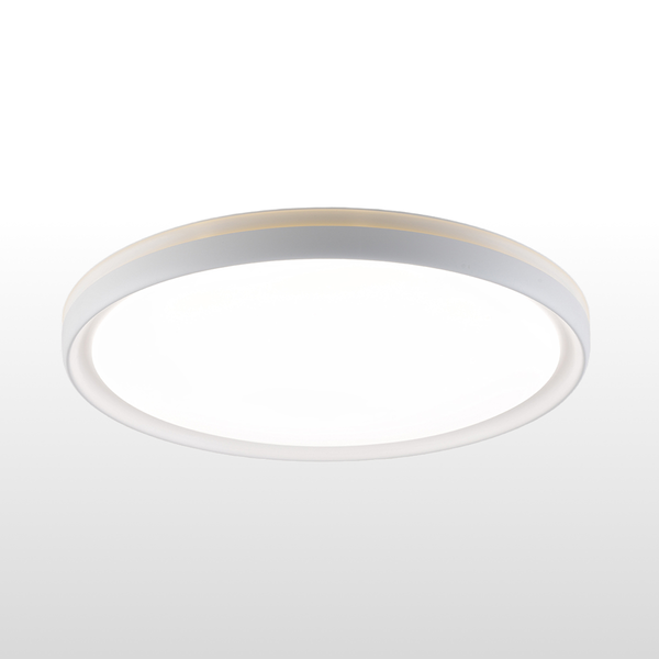 36W/48W Modern Luxury Ceiling Light CCT Changeable