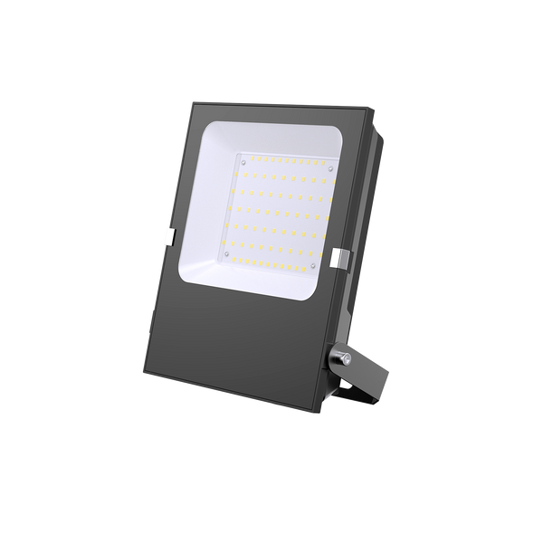 50W LED Flood Light IP66 Outdoor Floodlight (PVFL-050)