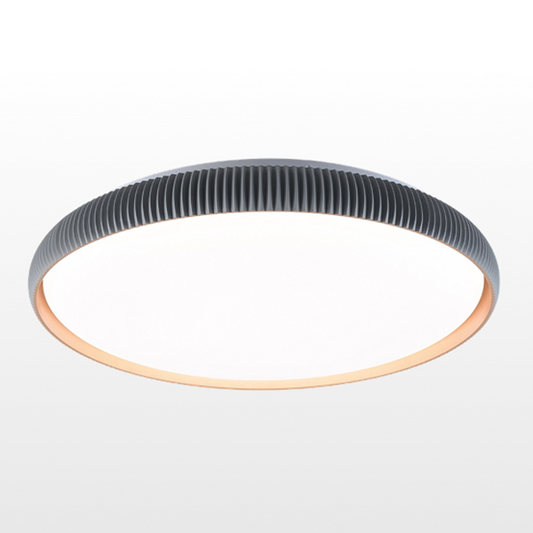 36W/48W Modern Luxury Ceiling Light CCT Changeable In Black(3611B/4811B)