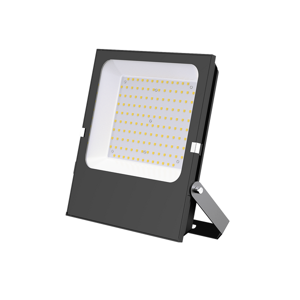 100W LED Flood Light IP66 Outdoor Floodlight (PVFL-100)
