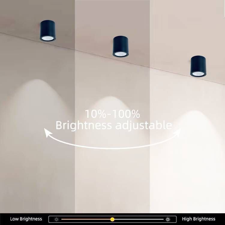 15W Modern Surface Mount Downlight Tri Colour Dimmable Ceiling Lamp (P ...